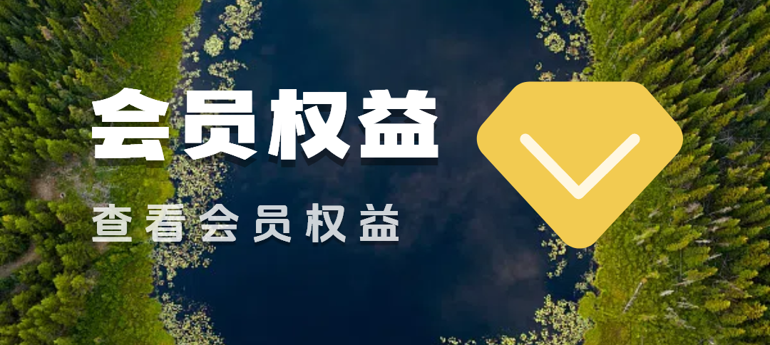 图片-Hozo AI社区